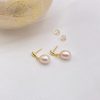 Lace & Favour Kalea Gold Classic Freshwater Pearl Drop Earrings New