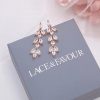 Lace & Favour Aria Rose Gold Cubic Zirconia Drop Earrings Wholesale